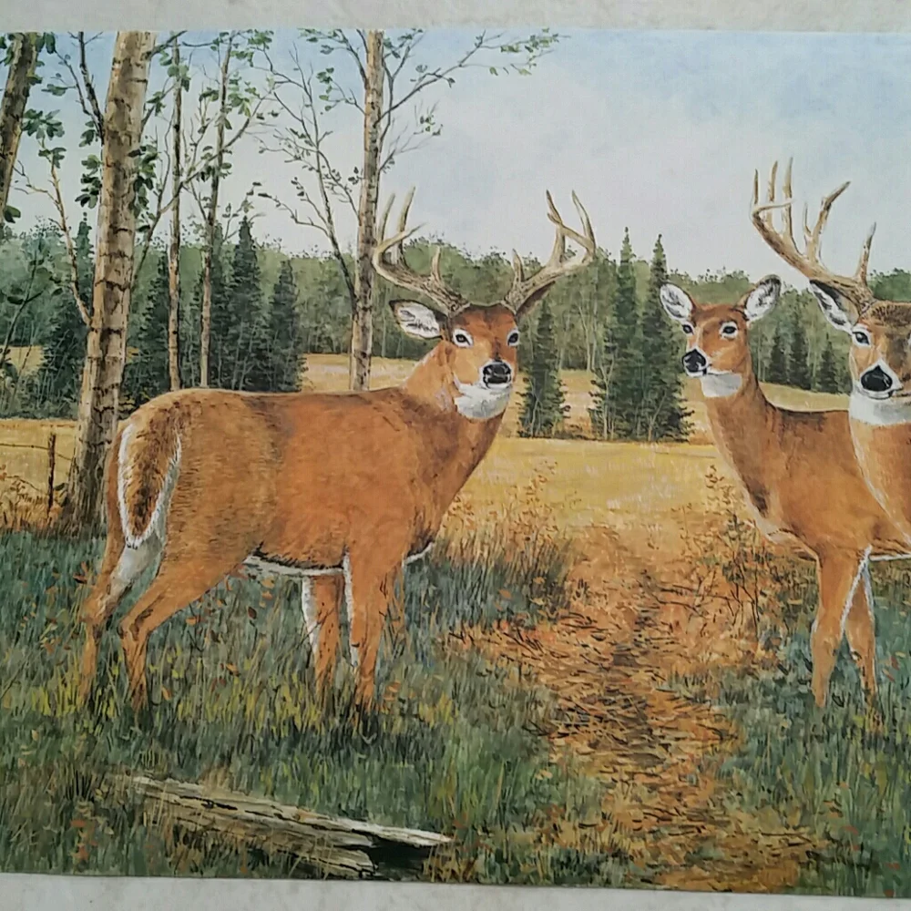 Wallpaper Border - Whitetail Buck Deer Cabin